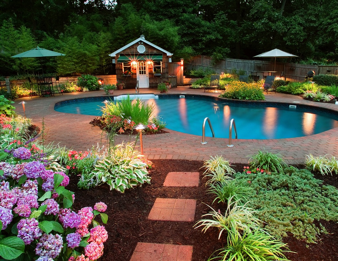 pool and garden in Best Inspiring Backyard Designs | LovelySpaces.com